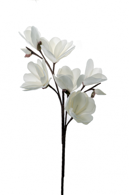 FLOWER APATLO KATSARO WHITE