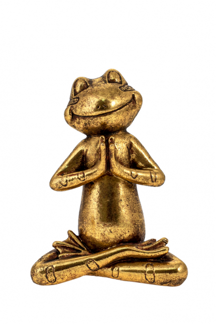 POLYESTER GOLD FROG